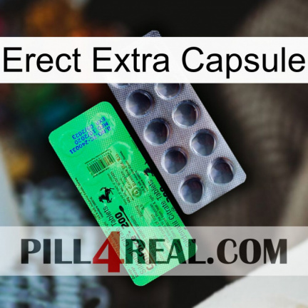 Erect Extra Capsule new04